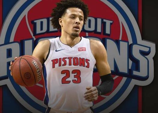 质的培养 质的培养